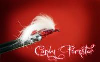 Bifogad bild: candy pornstar.jpg